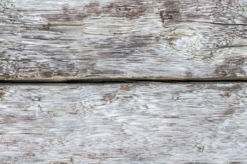 Fototapeta premium wood texture. background old panels