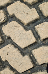 Obraz premium Tire profile