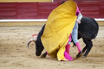 Aluminium Prints Bullfighting Torero toreando en la plaza. Tarde de toros. Fiesta Nacional.