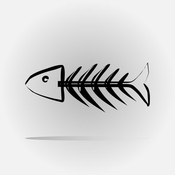 Fish skeleton painted with a brush. Abstract image. Isolated.