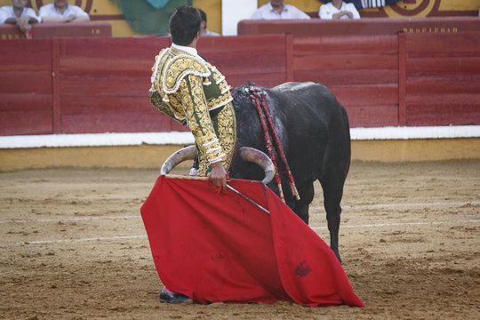 Torero toreando en la plaza. Tarde de toros. Fiesta Nacional.
