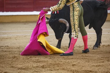 Printed roller blinds Bullfighting Torero toreando en la plaza. Tarde de toros. Fiesta Nacional.