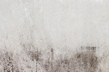 white concrete wall texture