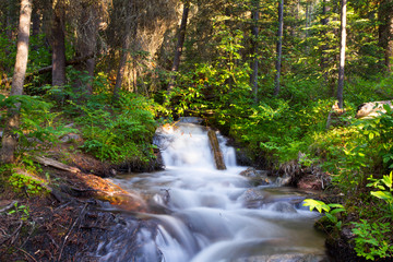 Waterfall Landscape.