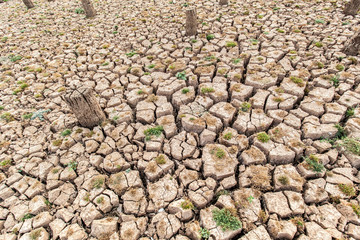 Cracked dry land without water.Abstract background.