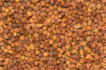 Brown chick pea background