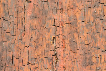 wood texture. background old panels