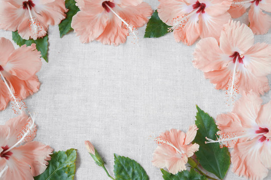 Pink peachy Hibiscus flowers on linen, copy space background