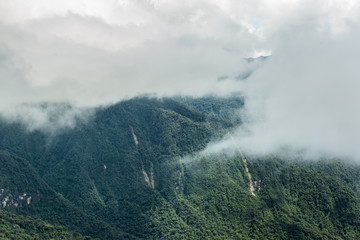 Tropical montane cloud forest, Ecuador Pichincha
