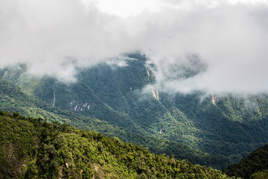 Fototapeta Tropical montane cloud forest, Ecuador east slope of Pichincha