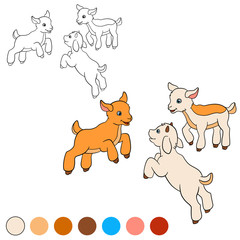 Coloring page. Color me: goat. Three little cute baby goats.