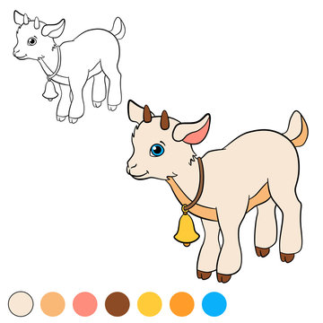 Coloring page. Color me: goat. Little cute baby goat.