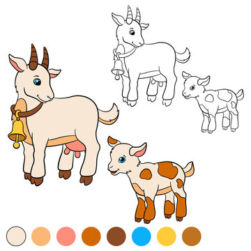 Coloring page. Color me: goat. Mother goat with her baby.