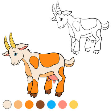 Coloring page. Color me: goat. Cute goat.