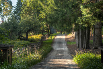 GRAVEL DRIVEWAY LEADING UP TO COUNTRY HOME
