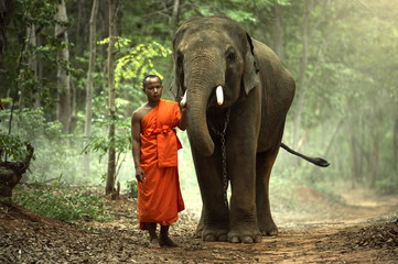 The monk with elephant