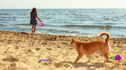 Girl playing with her dog.