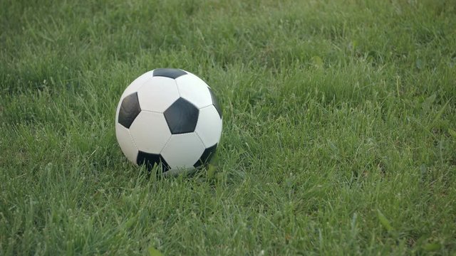UHD video - Closeup shot of a football, with its traditional black and white geometric pattern, rolling into frame and coming to a stop on a grassy field.