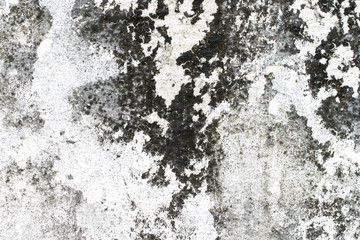 white concrete wall texture