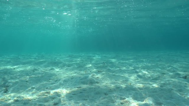 Underwater shallow sandy ocean floor with sunlight through water surface, natural scene, lagoon of Moorea, Pacific ocean, French Polynesia
