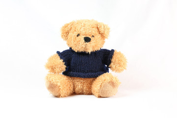 Teddy Bear stuffed toy