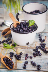 Fototapeta na wymiar fresh bilberry in cup