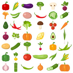 Set of vegetables. Different colorful vegetables. All kinds of green vegi for cooking meals, planting in garden.