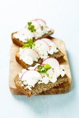 Sandwiches with fresh cheese and radish