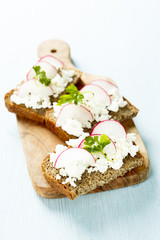 Sandwiches with fresh cheese and radish