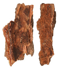 Bark tree