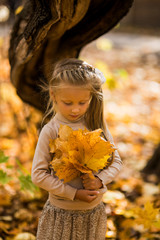 thoughtful girl autumn day looking at a bouquet of maple leaves, which holds in his hand