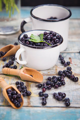 fresh bilberry in cup