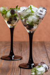 Ice cubes with dill, estragon and blueberry 