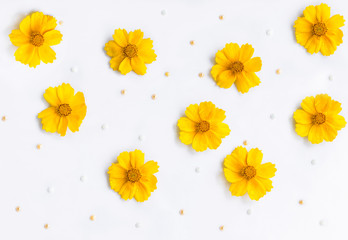 Yellow flowers with water drops on petals and pearl beads on white background, abstract