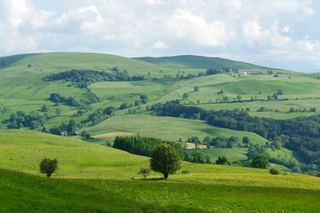 Paysage du Cantal