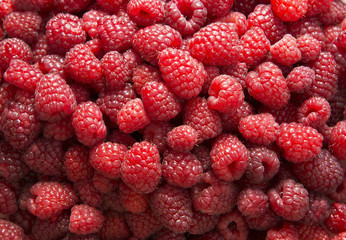 Fresh red raspberries