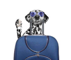 Dog says goodbye and goes on holiday with a suitcase in his mout