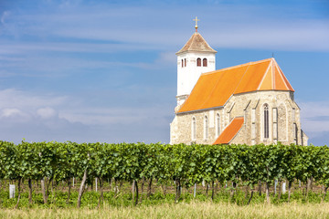 Fototapeta na wymiar church with vineyard, Kirchenberg, Lower Austria, Austria