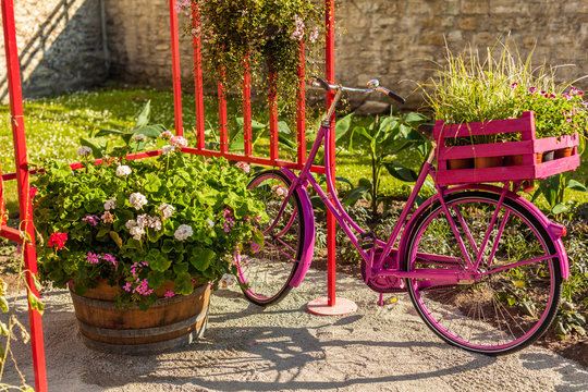 Pink bicycle parked in flowering garden
