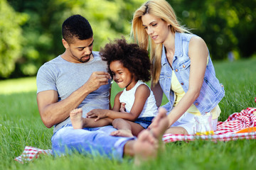 Family enjoying picnic outing