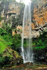 Australia Landscape : Purling Brook Falls
