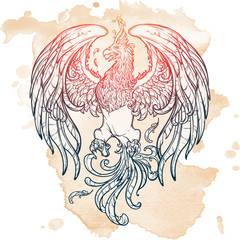 Fototapeta premium Sketch drawing of Phoenix isolated on grunge background.