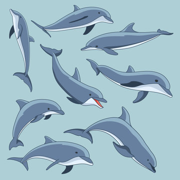 Vector hand drawn set of dolphins