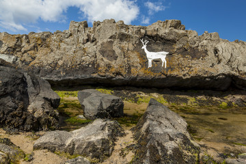 The famous, painted, White Stag on the rocks at Bamburgh Beach on the coast of Northumberland, England, UK.
