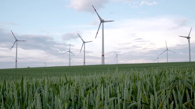 wind energy - wind power - wind turbine 
