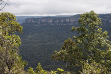 The Blue Mountains and the Kanangra-Boyd Wilderness.