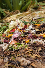 Bio waste. Organic waste with pieces of lemons, onions and others fruits in decomposition.