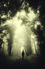 Obraz premium man in dark green forest