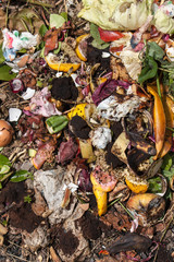 organic waste taken from above. Bio-waste with pieces of eggs, vegetables and other food in decomposition.