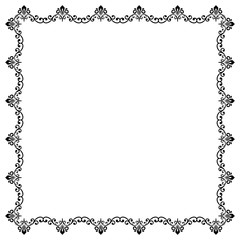 Floral Vector Fine Frame